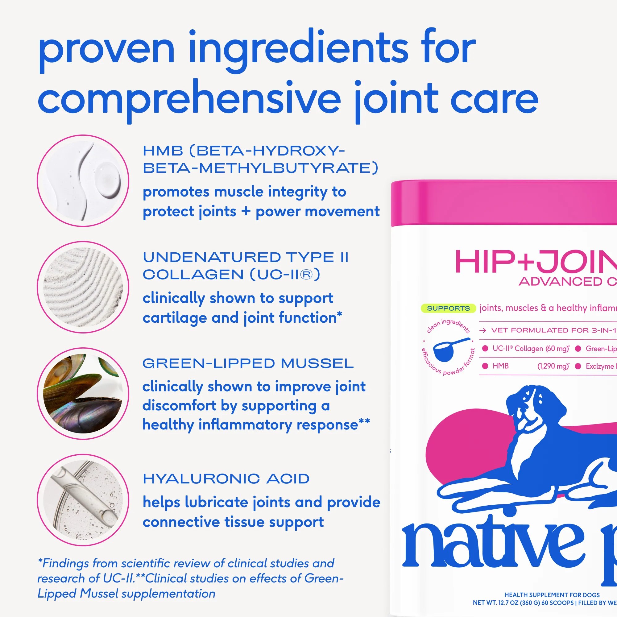 HIP+JOINT ADVANCED CARE - Image 3