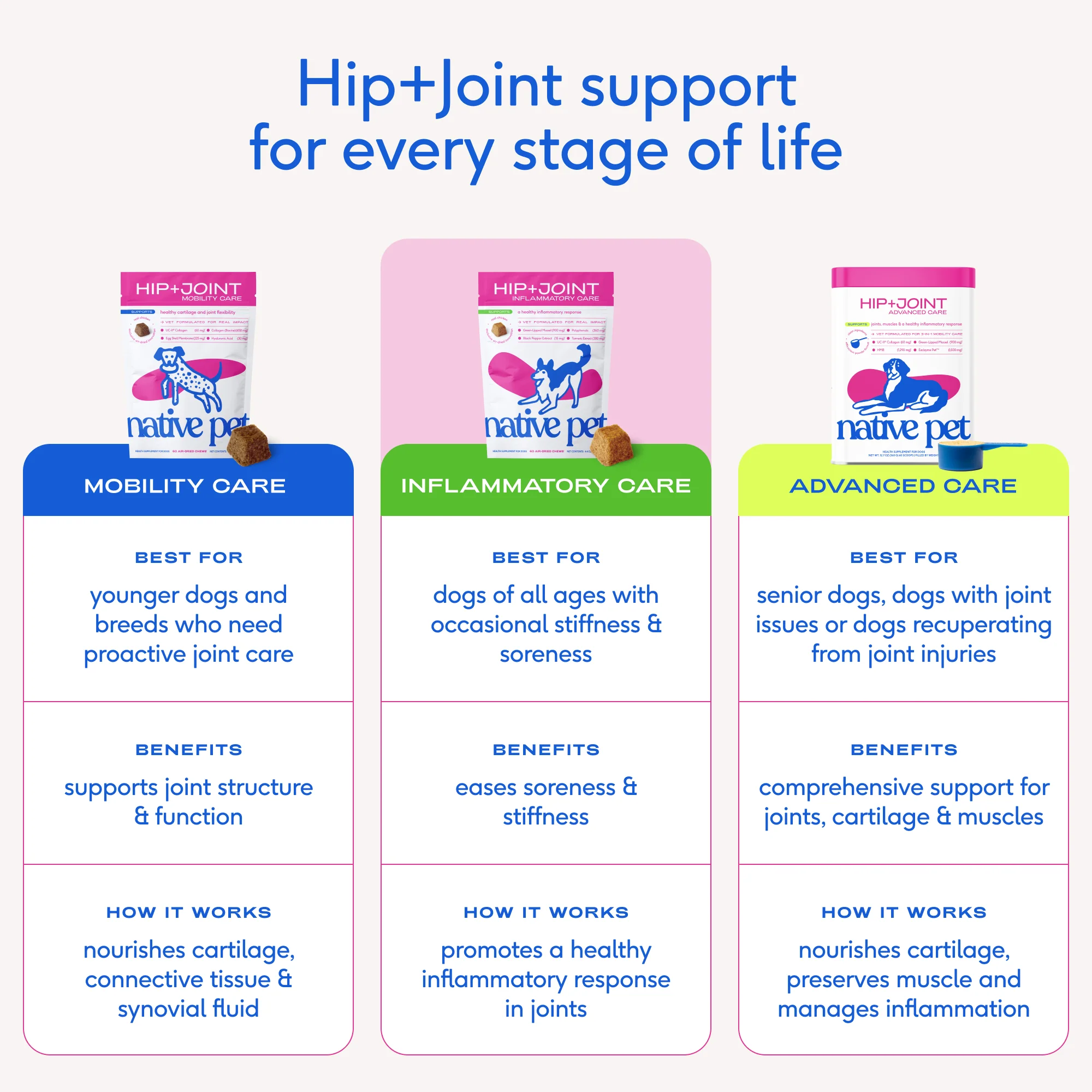 HIP+JOINT INFLAMMATORY CARE - Image 9