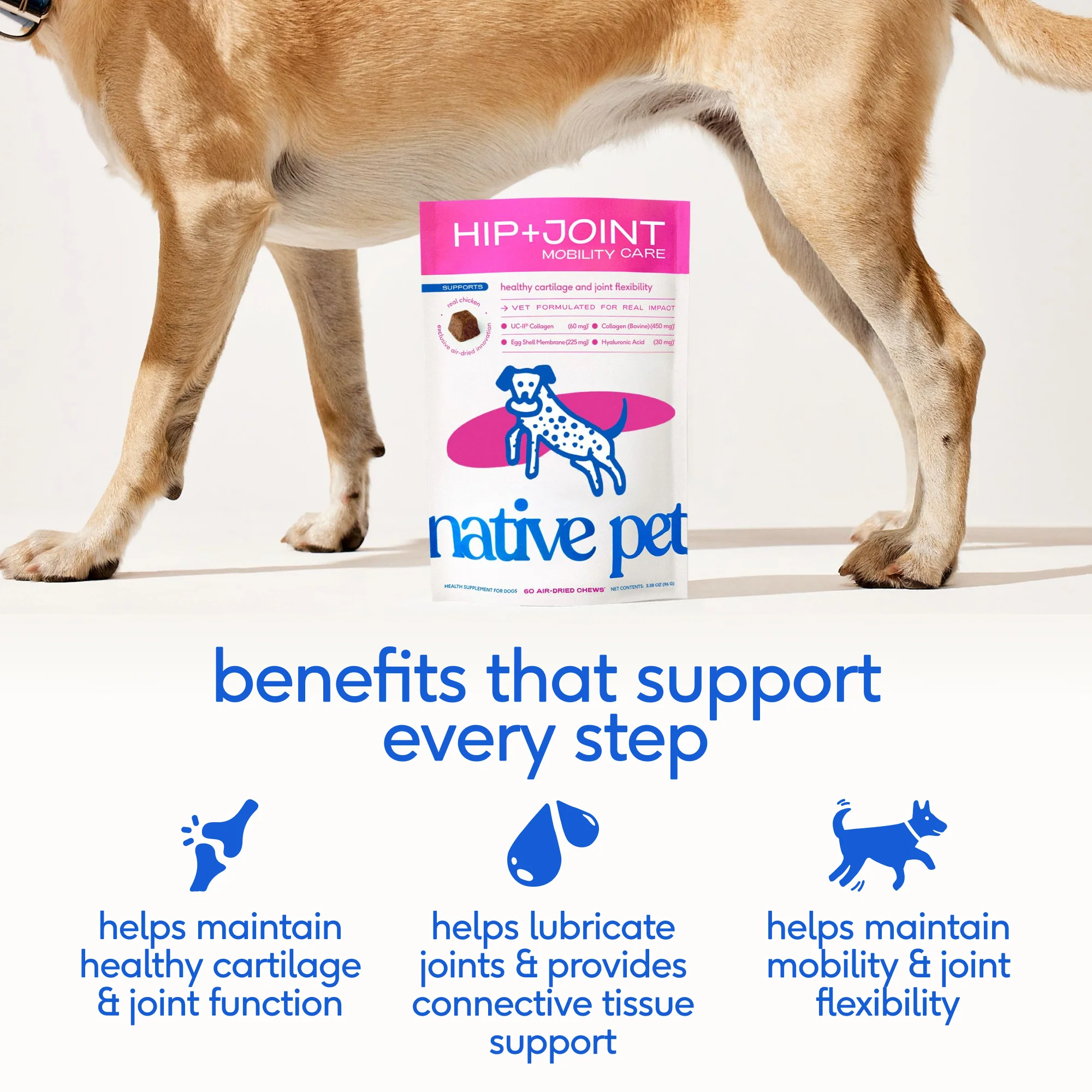 HIP+JOINT MOBILITY CARE - Image 3