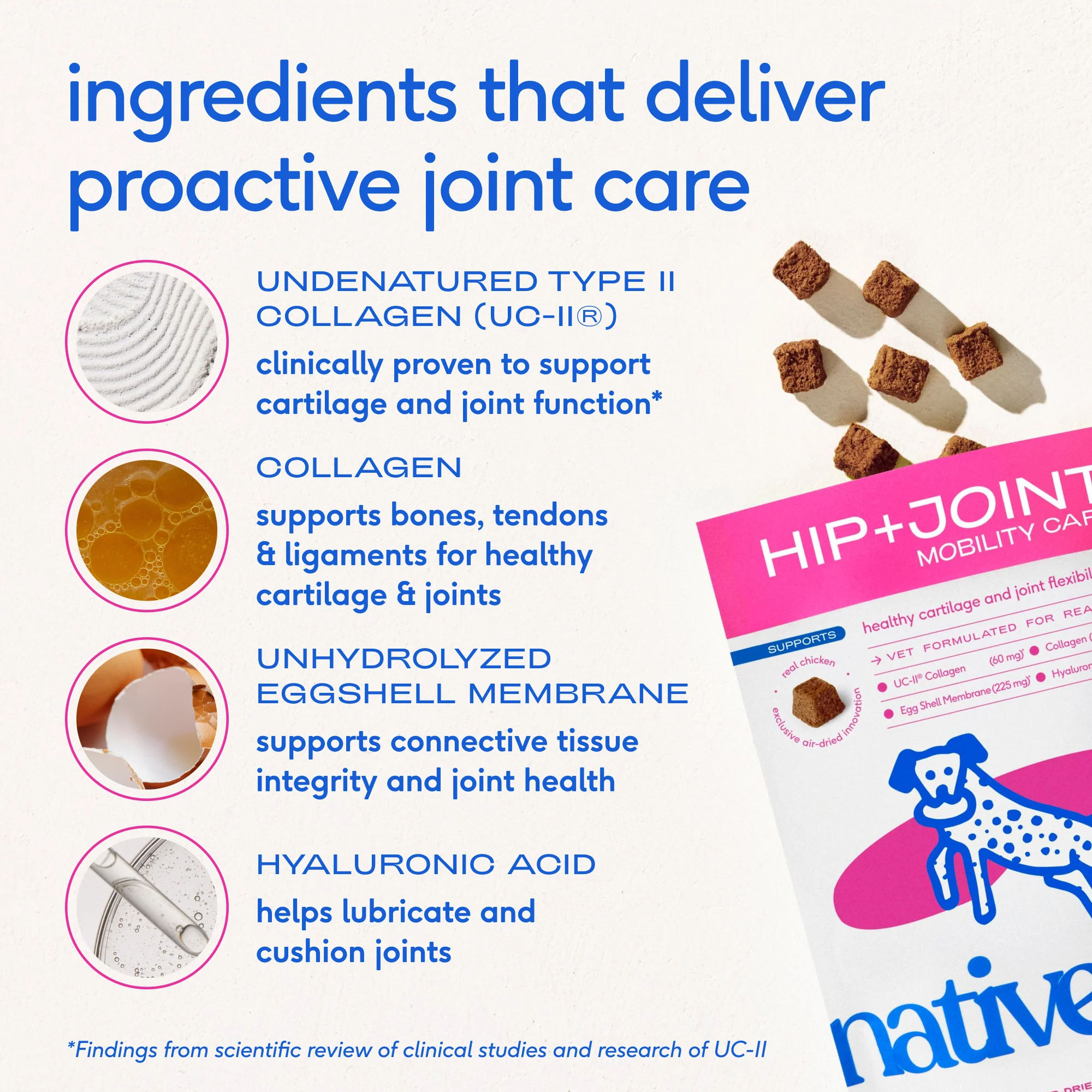 HIP+JOINT MOBILITY CARE - Image 4