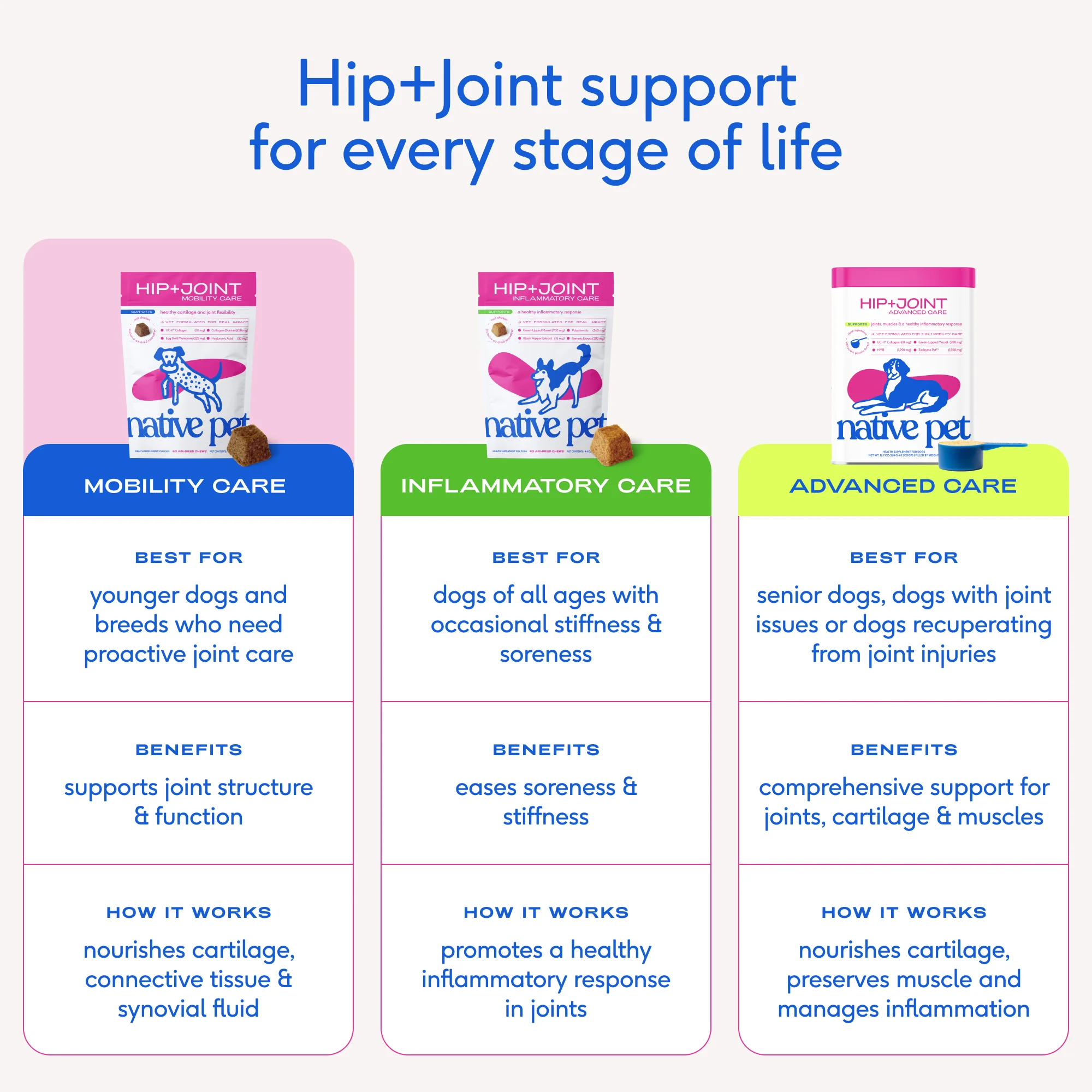 HIP+JOINT MOBILITY CARE - Image 9