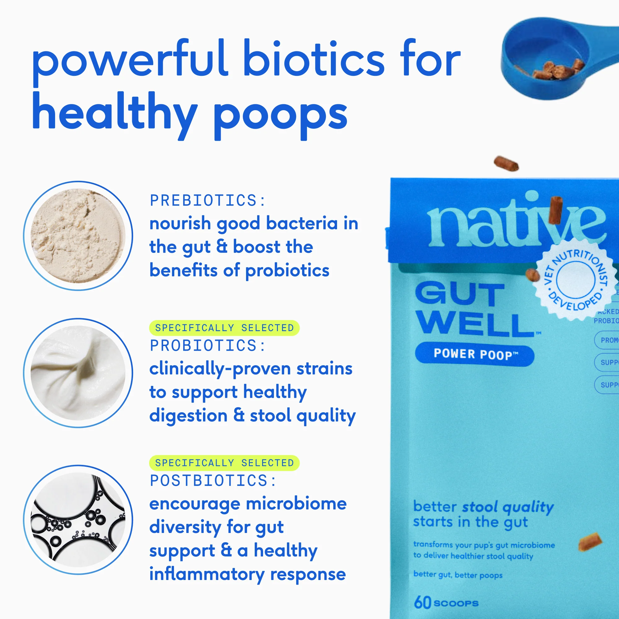 POWER POOP - Image 4