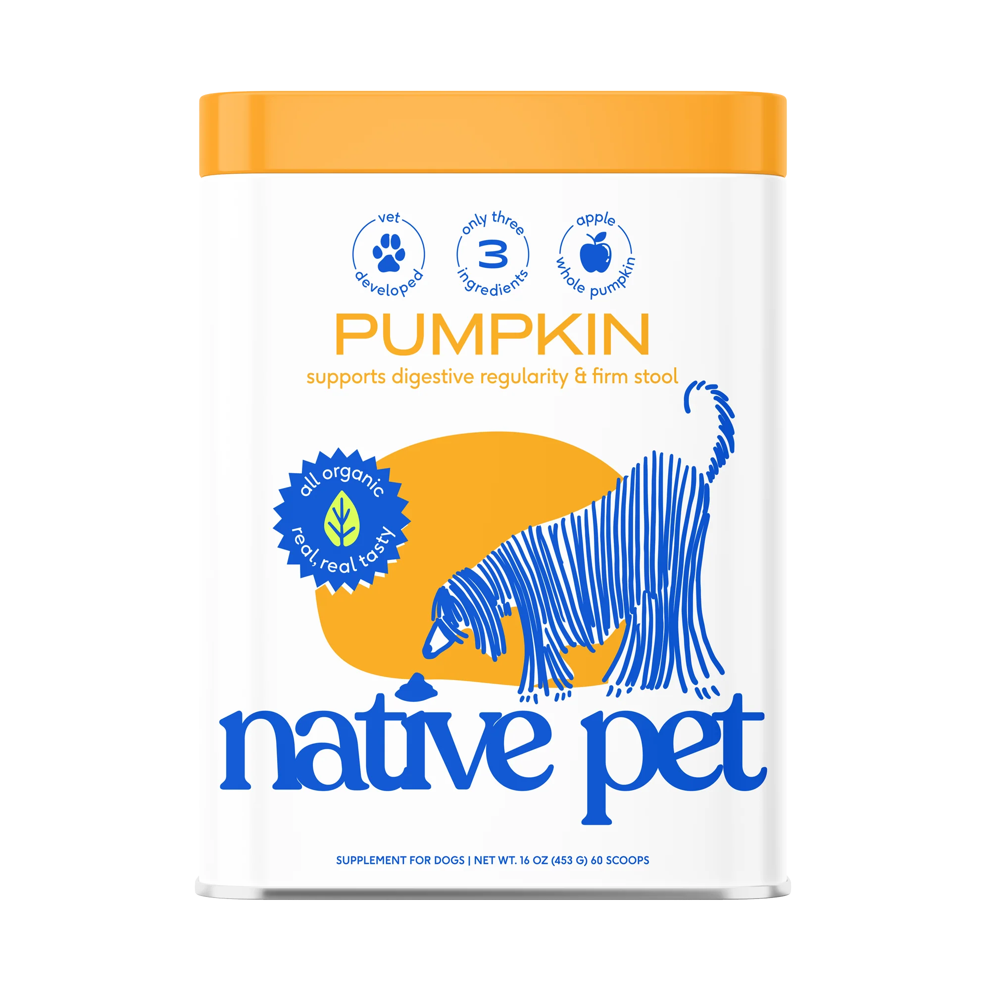 PUMPKIN - Image 10