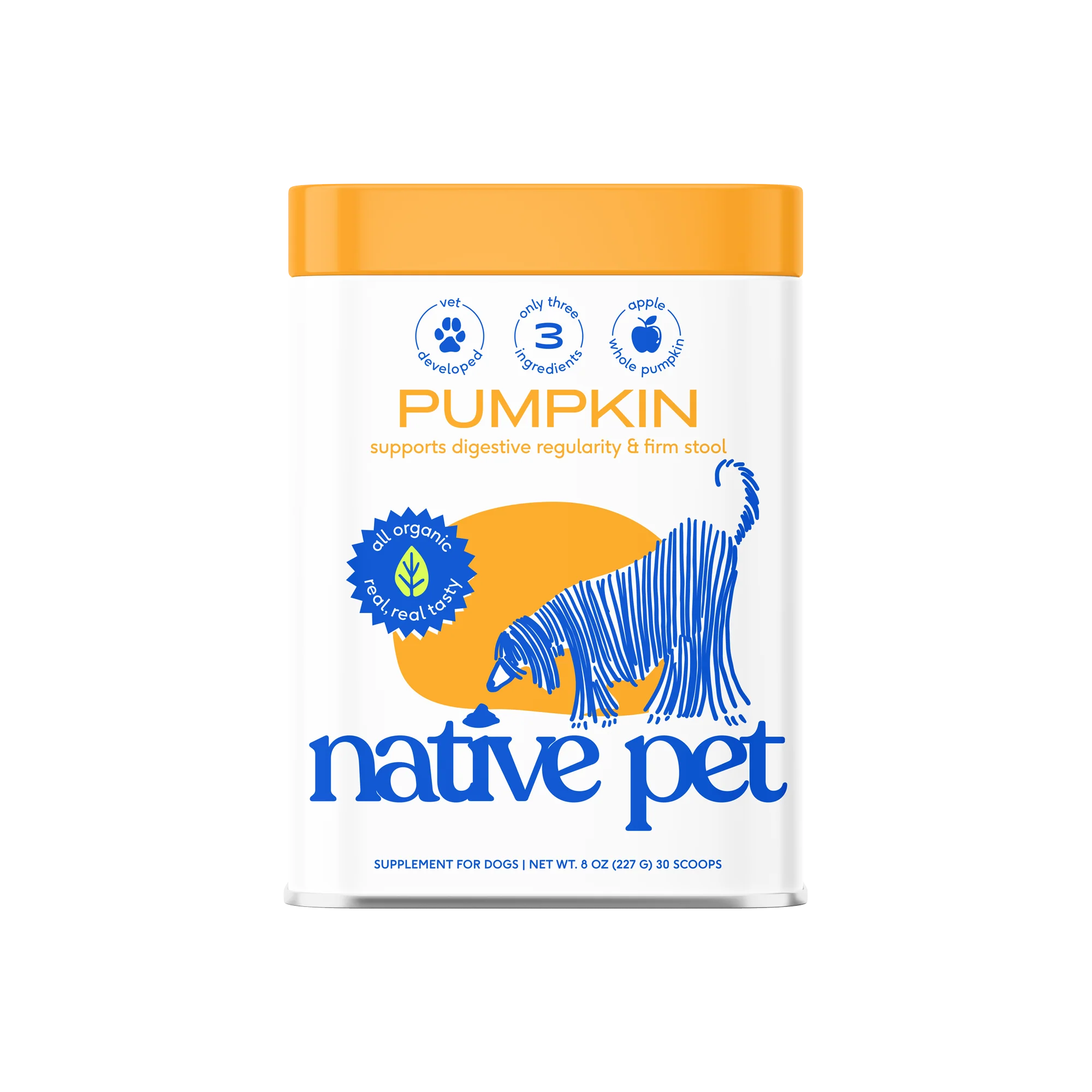 PUMPKIN - Image 9