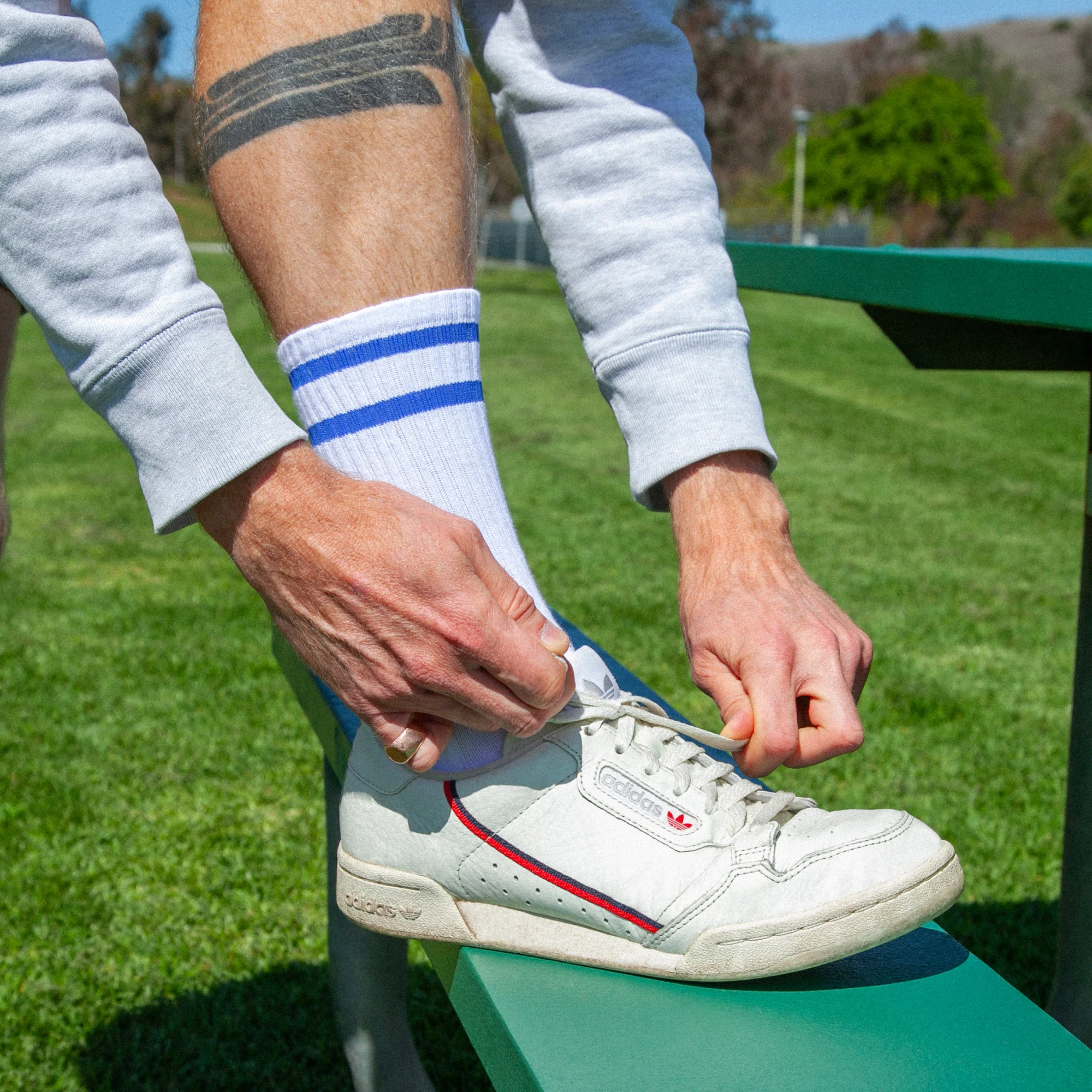 Woof Socks - Image 6